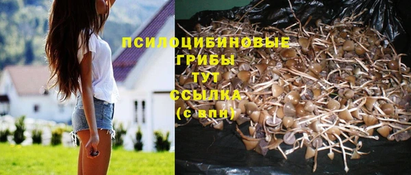 метадон Абдулино